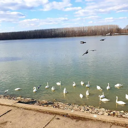 Apartment Centar Exclusive Smederevo