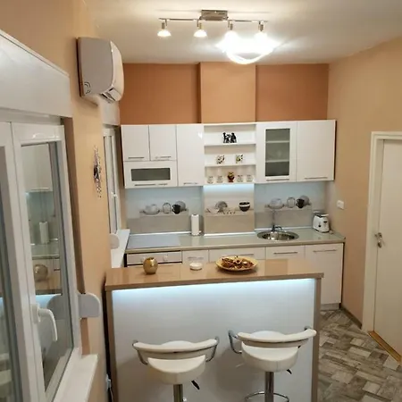 Apartment Centar Exclusive *