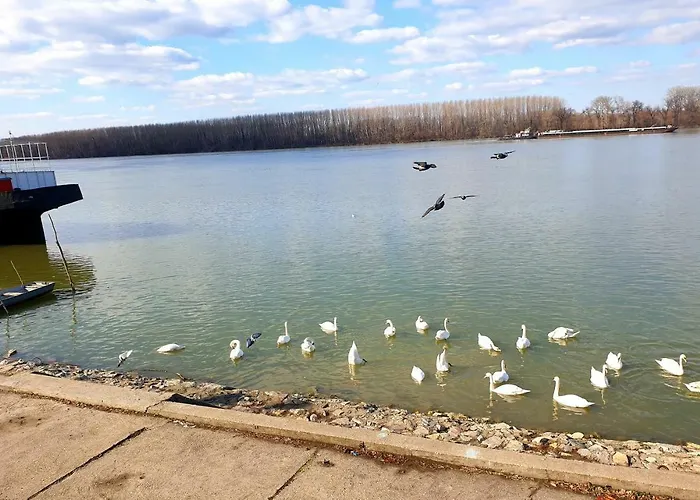 아파트 Centar Exclusive 스메데레보